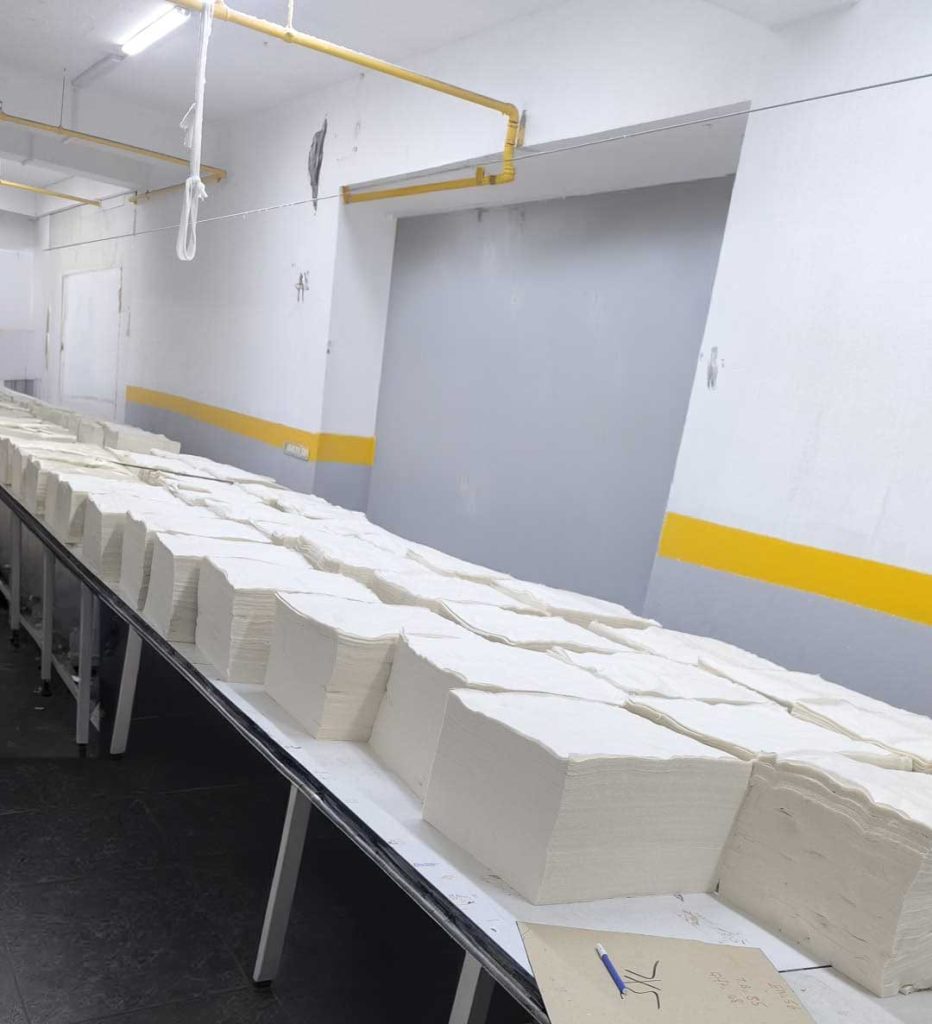 WhatsApp Image 2026 03 12 at 12.53.21